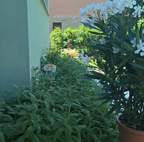 Pensionat A Casa Di Simonetta Castelfranco Emilia